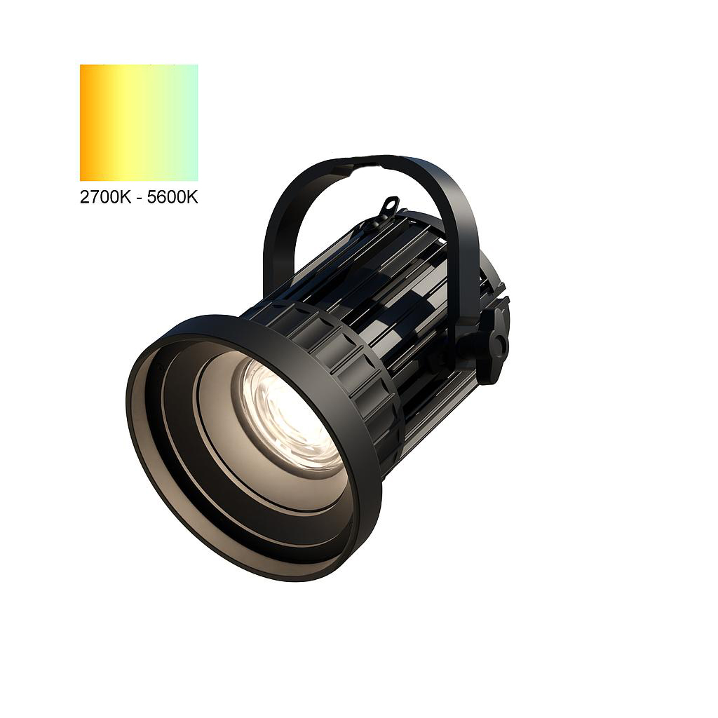Fresnel light top